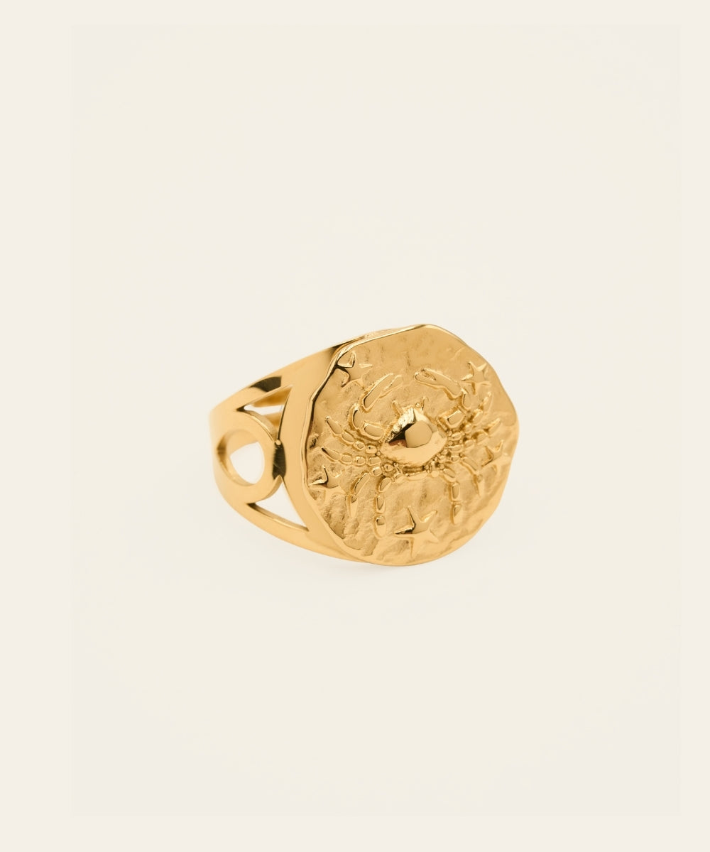 Bague - Zodiaque
